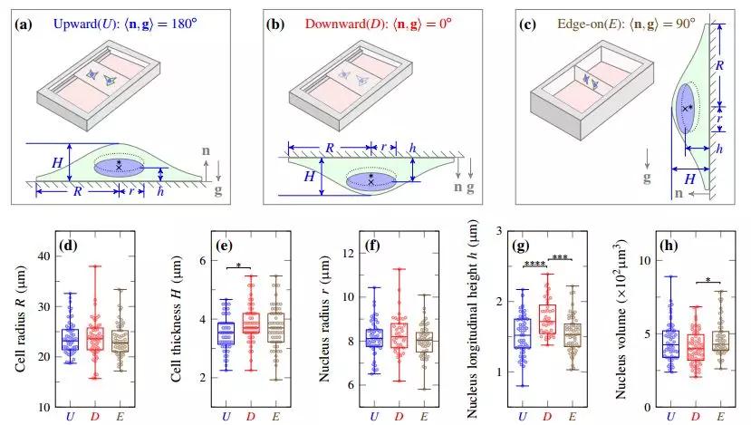 论文写作模板免费app,latex论文排版怎么用