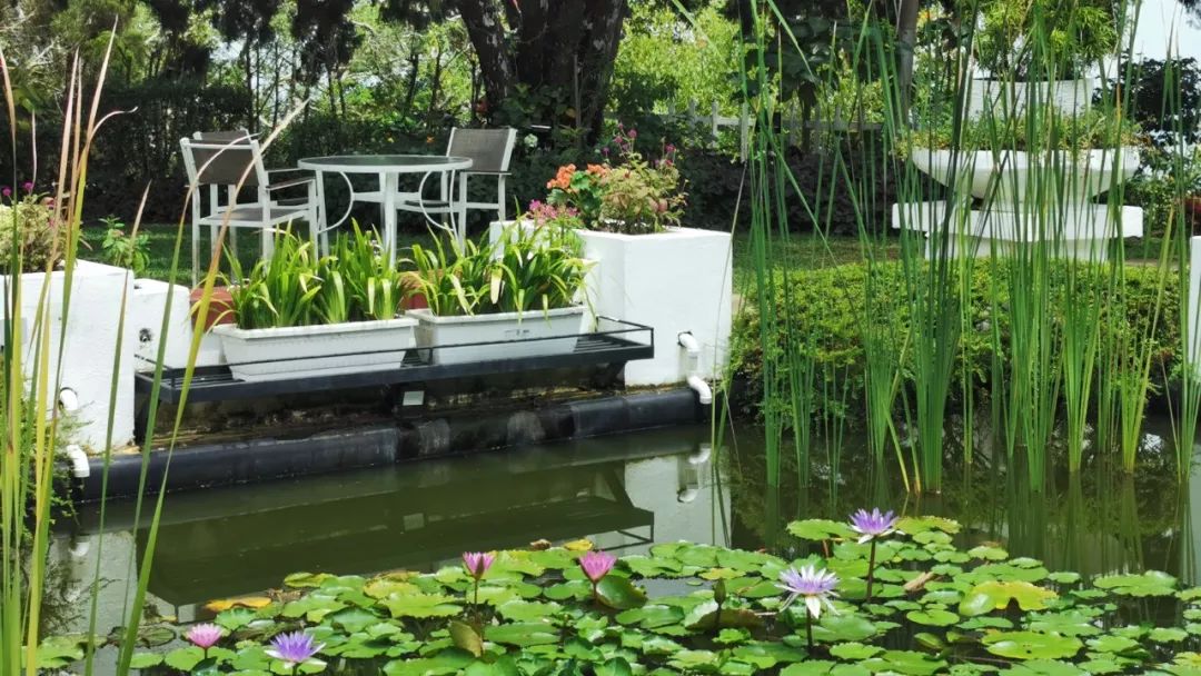 槟城慢时光完整视频,马来西亚值得看的经典建筑