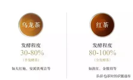 大红袍怎么选,大红袍常识大全