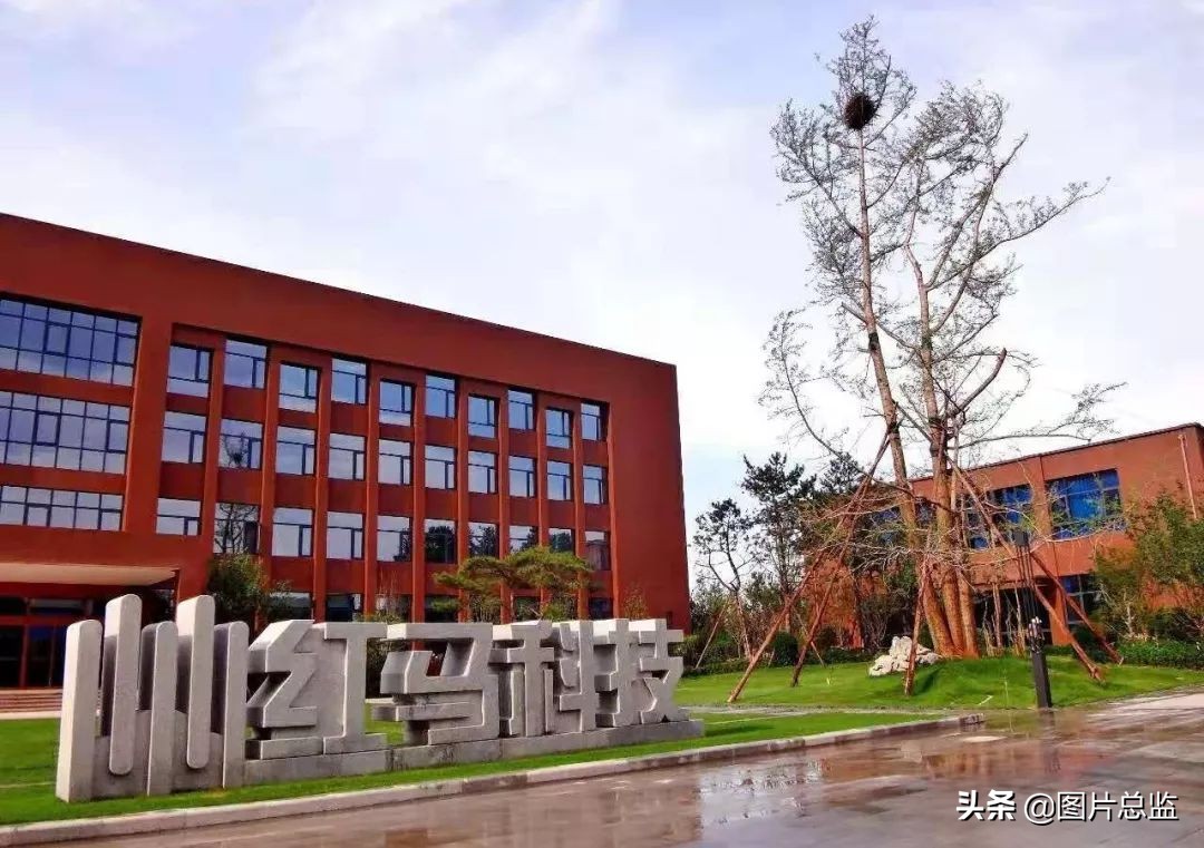 韩城百强,陕西韩城全国百强排名