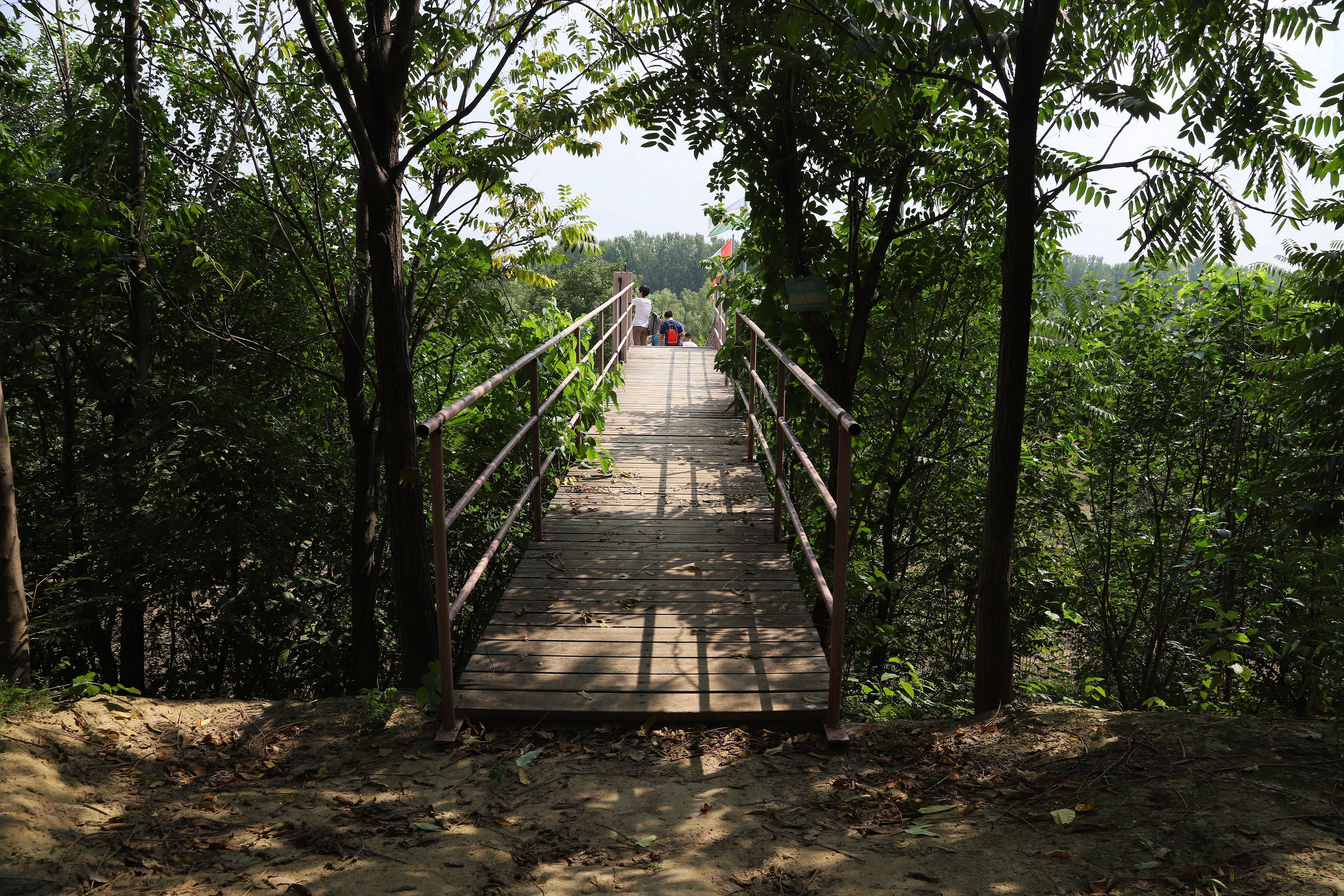 在心灵的栖息地遇见第五季