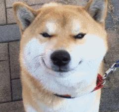 宜家昆明商场将正式开业,昆明宜家家居开业时间