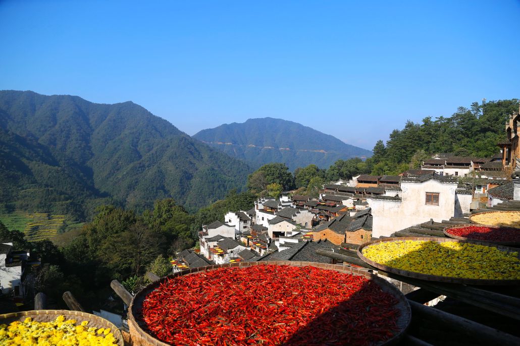 婺源篁岭赏秋,晒秋江西婺源篁岭