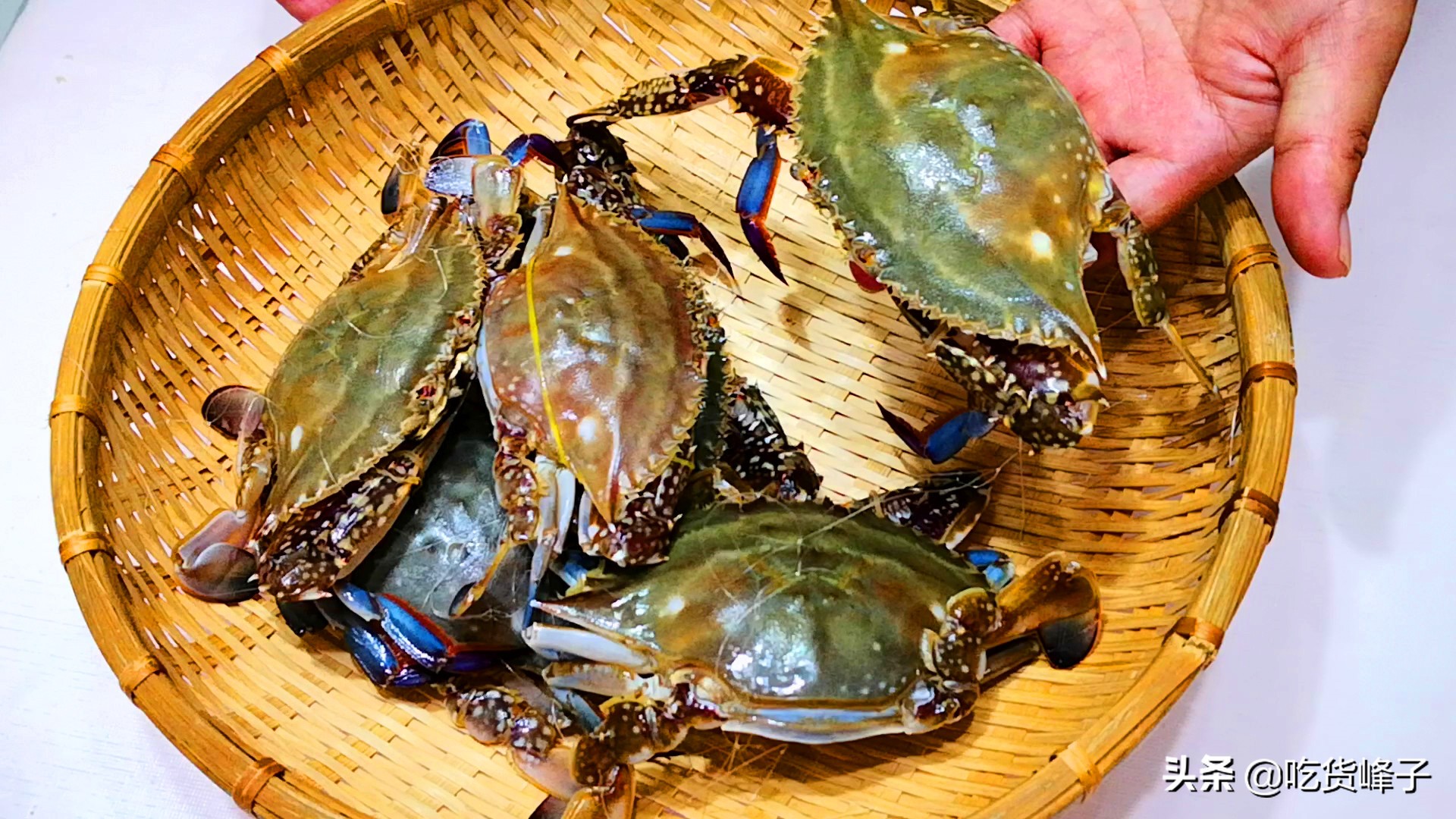 蒸螃蟹为什么会出汤,蒸螃蟹为啥倒着放水