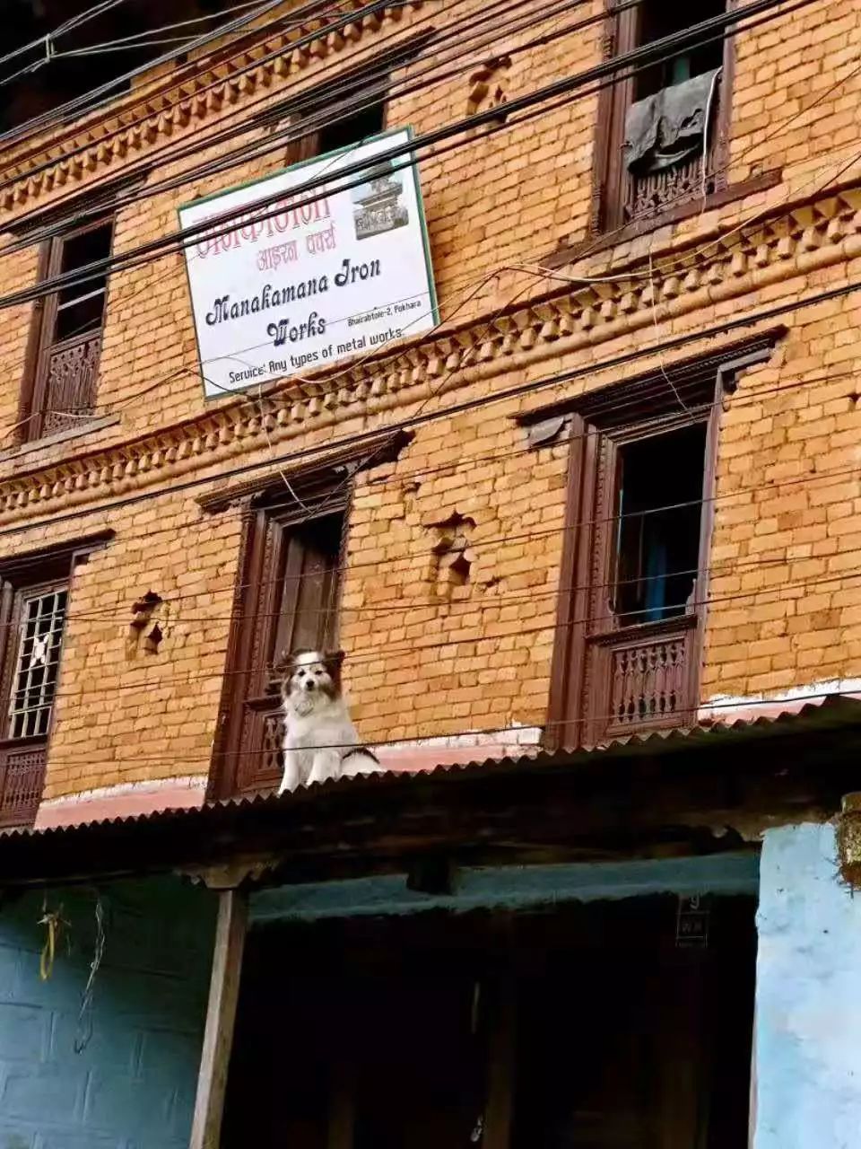 橘滋脏话男士香水100ml,橘滋脏话男士香水正品报价