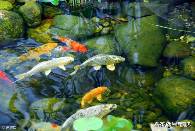 转运时真的可以转运吗,转运当天最好做些什么