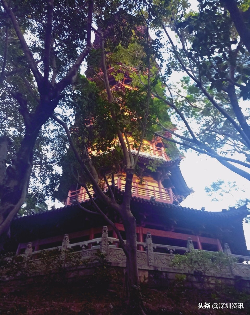 深圳龙华公园塔,深圳龙华公园里面的塔叫什么塔