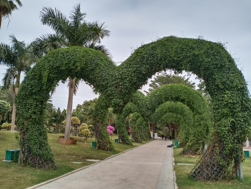 杨贵妃淘米水洗发水套装,杨贵妃淘米水微商团队