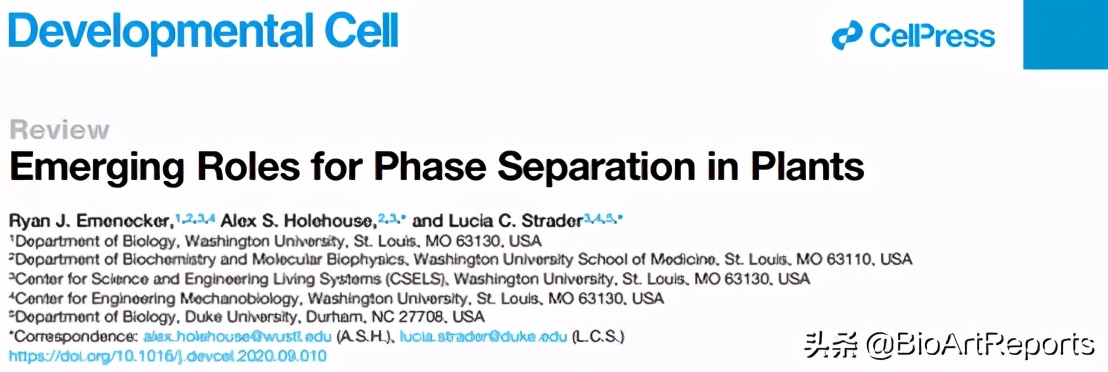 双十一特别献礼：五篇论文齐发！相分离研究再上高楼