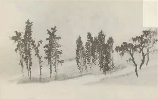 怎样画树画得好看,怎么画树最简单而且还最好看