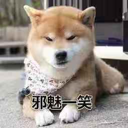 魔兽世界打折季会出幽灵虎吗,魔兽世界2018年打折季活动