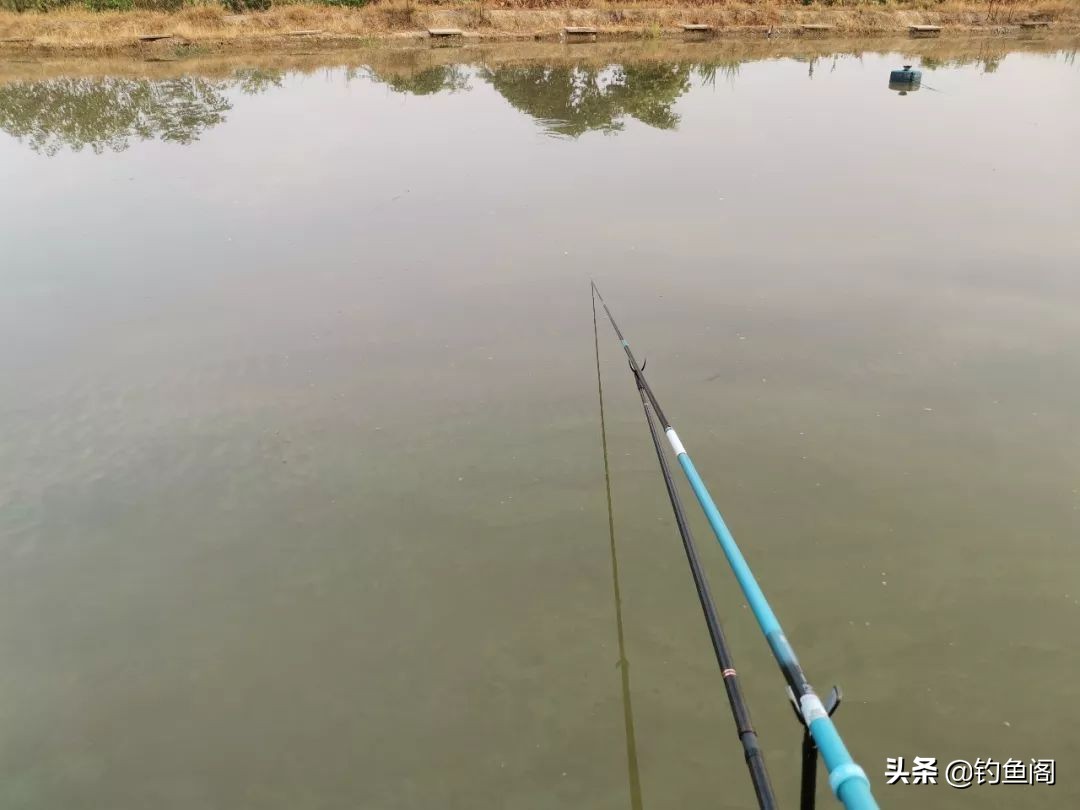 野钓钓鱼找鱼层的正确方法,钓鱼请三思而后行