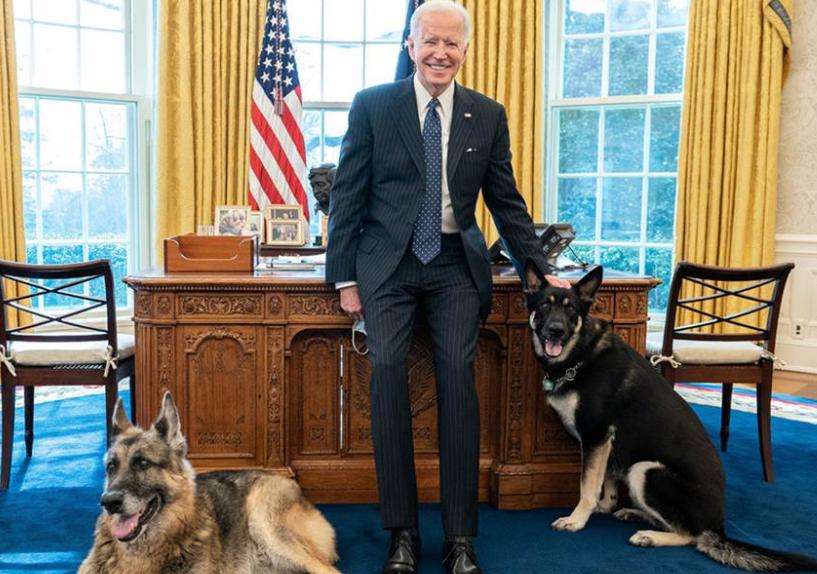 白宫动物简史：鸡、猫、狗、鸟、马、鼠、浣熊，甚至还有鬣狗