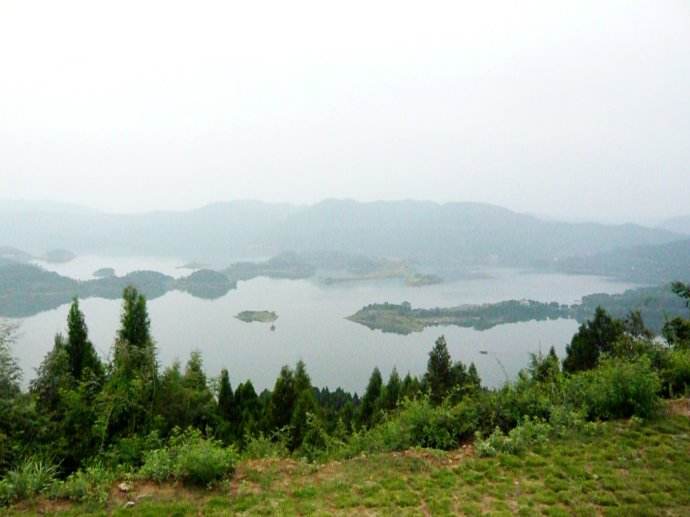湖库野钓鲫鱼用什么饵料最好,堵塘钓鲫鱼用什么饵料