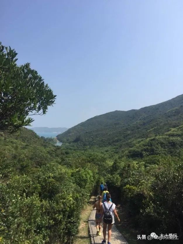 香港亲子游图文攻略图片大全,香港亲子游最佳路线图