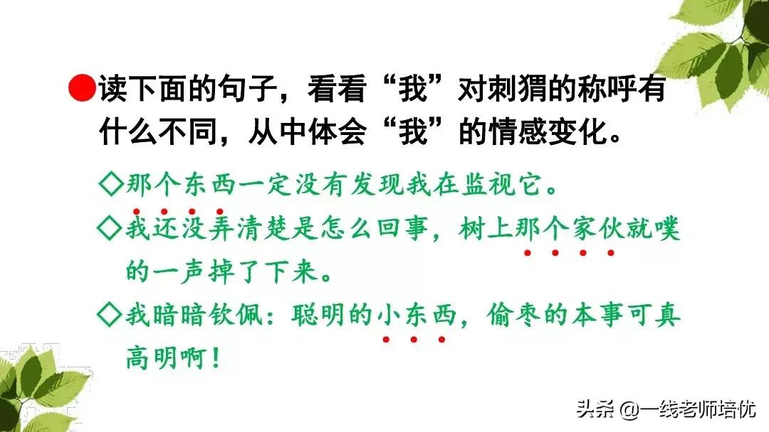 三年级语文带刺的朋友课堂笔记,带刺的朋友三年级上册