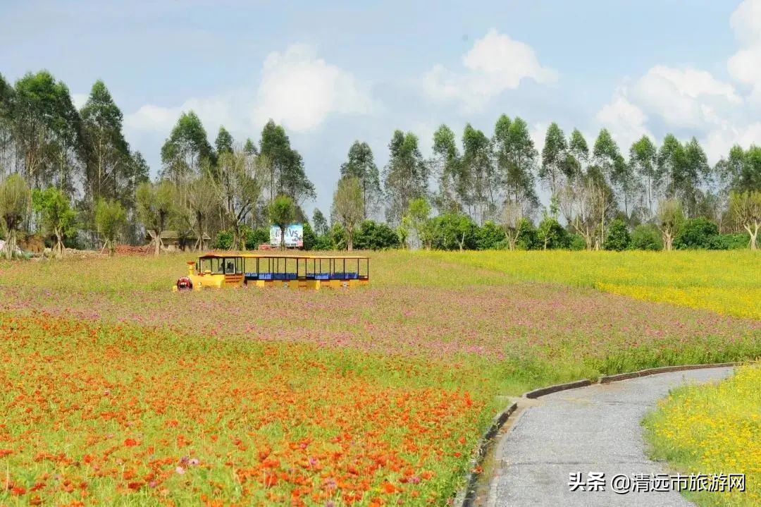 美景就在家门口下句是,美景就在家门外