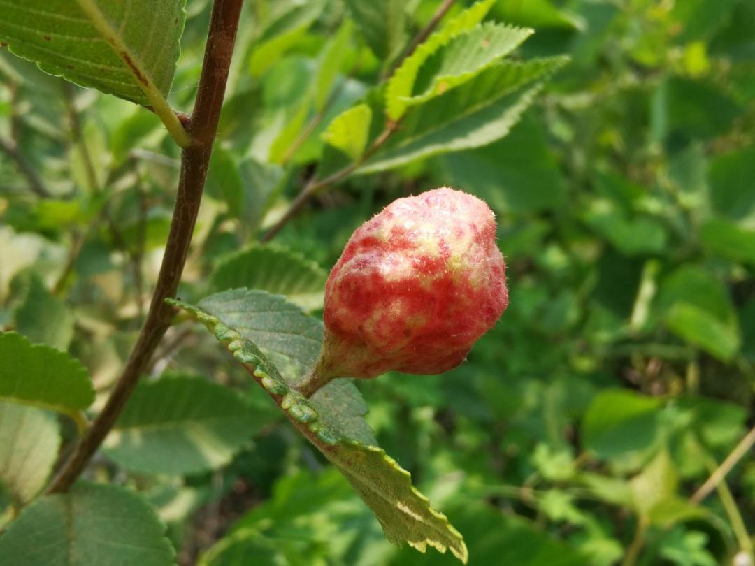 济南张家界自驾游路线推荐攻略,藏在济南市区的世外桃源