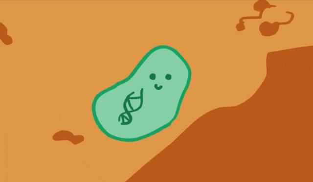 肚子老是肠鸣是肠癌吗,肠鸣音活跃大便不成形是肠癌吗