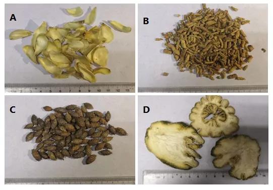 安溪县有没有好中医,安溪中医院检验报告