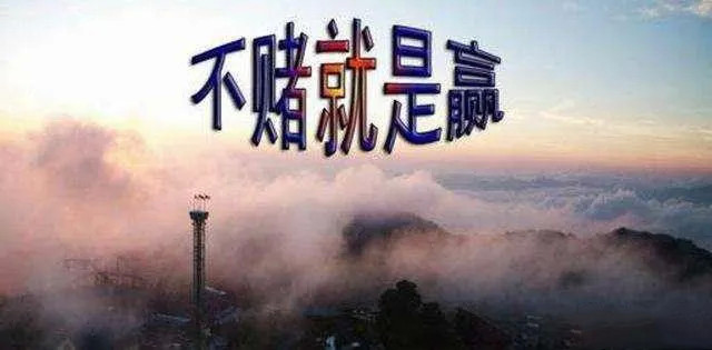 不赌为赢的套路和方法,不赌为赢讲解视频