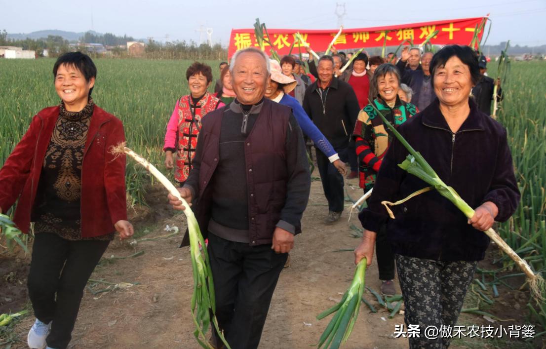 怎样种出大葱,如何种出来的大葱甜不辣