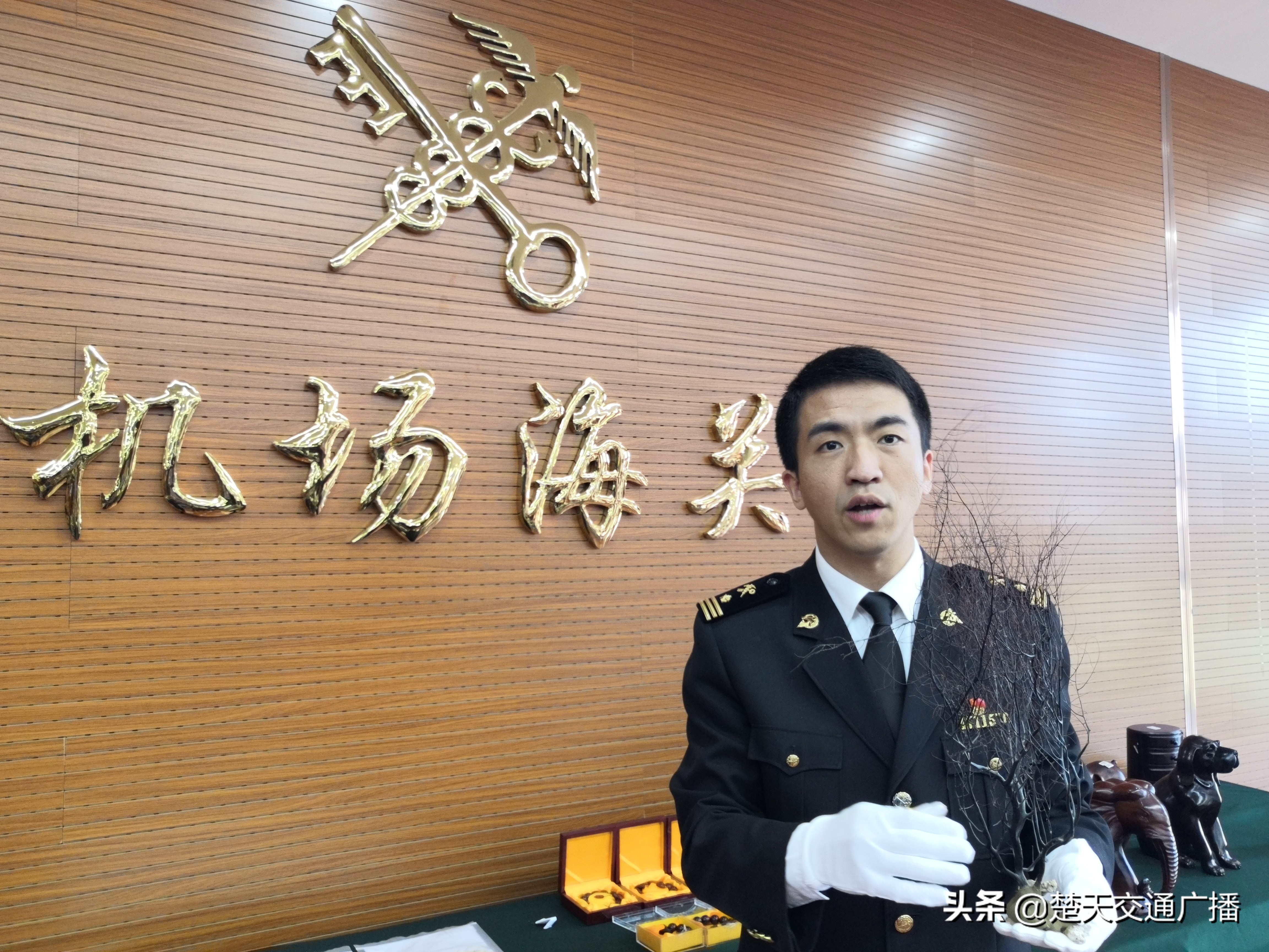 严厉打击象牙等走私违法,海关总署打击象牙走私