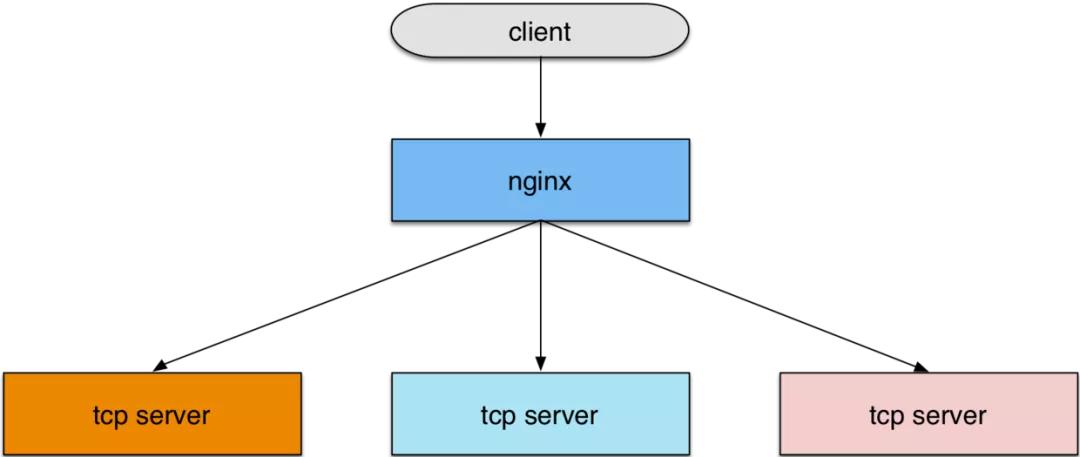 一张图读懂nginx,nginx新手入门教学示范图