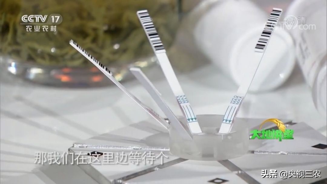 有机食品与健康知识,有机食品纯天然食品讲解