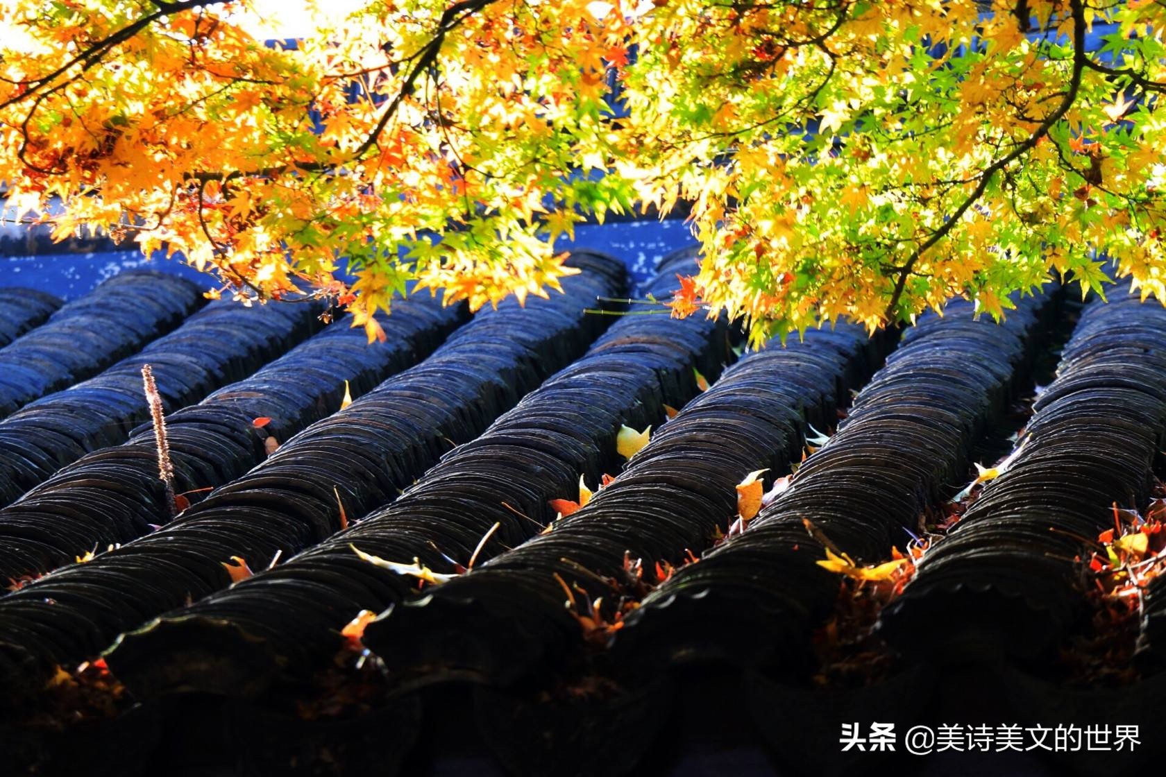 无名氏篇,无名氏全部小说