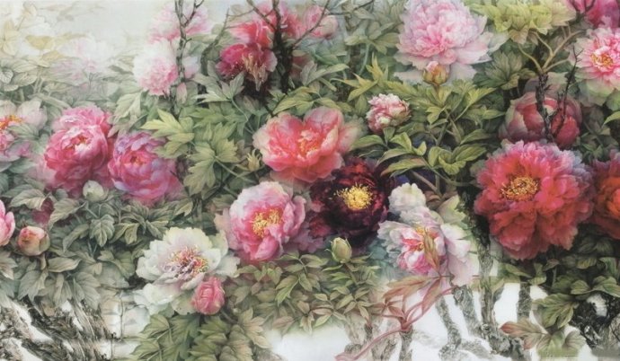 二十张惊艳的鲜花图片美图欣赏,好看的鲜花绝美图片