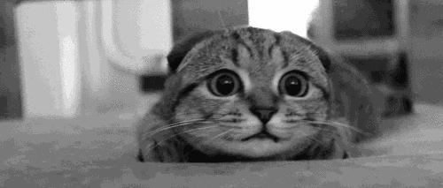 你穿的衣服这么土是大妈风吗,为啥我穿衣服总是那么土