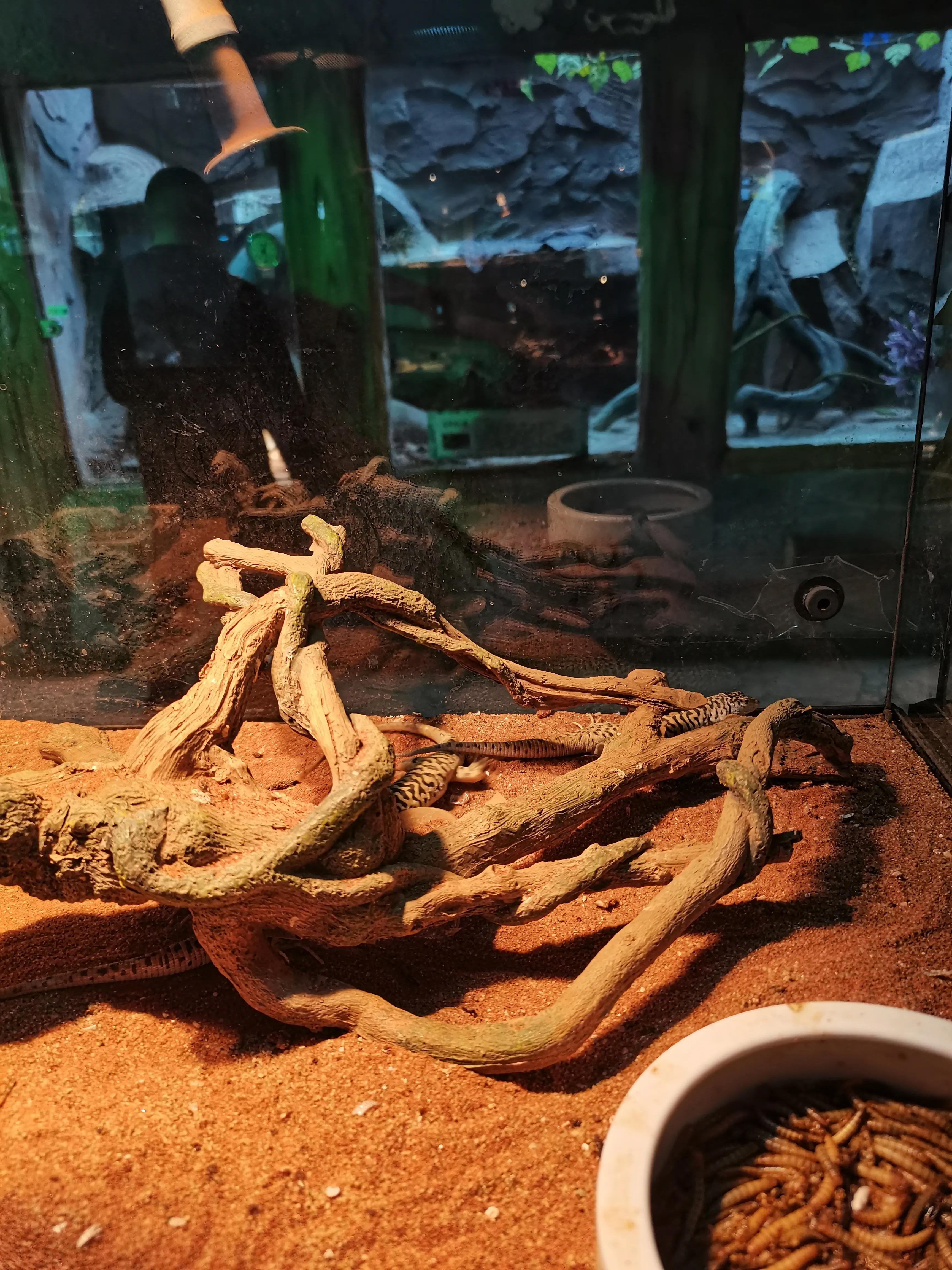 济南野生动物园和宿州野生动物园,宿州野生动物园到宿州皇藏峪