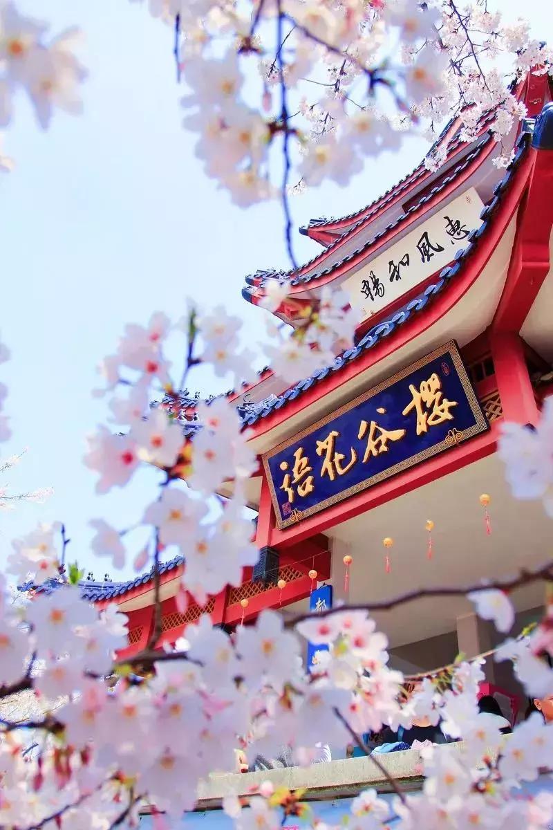 三天上海周边自驾游,魔都周边一日自驾游