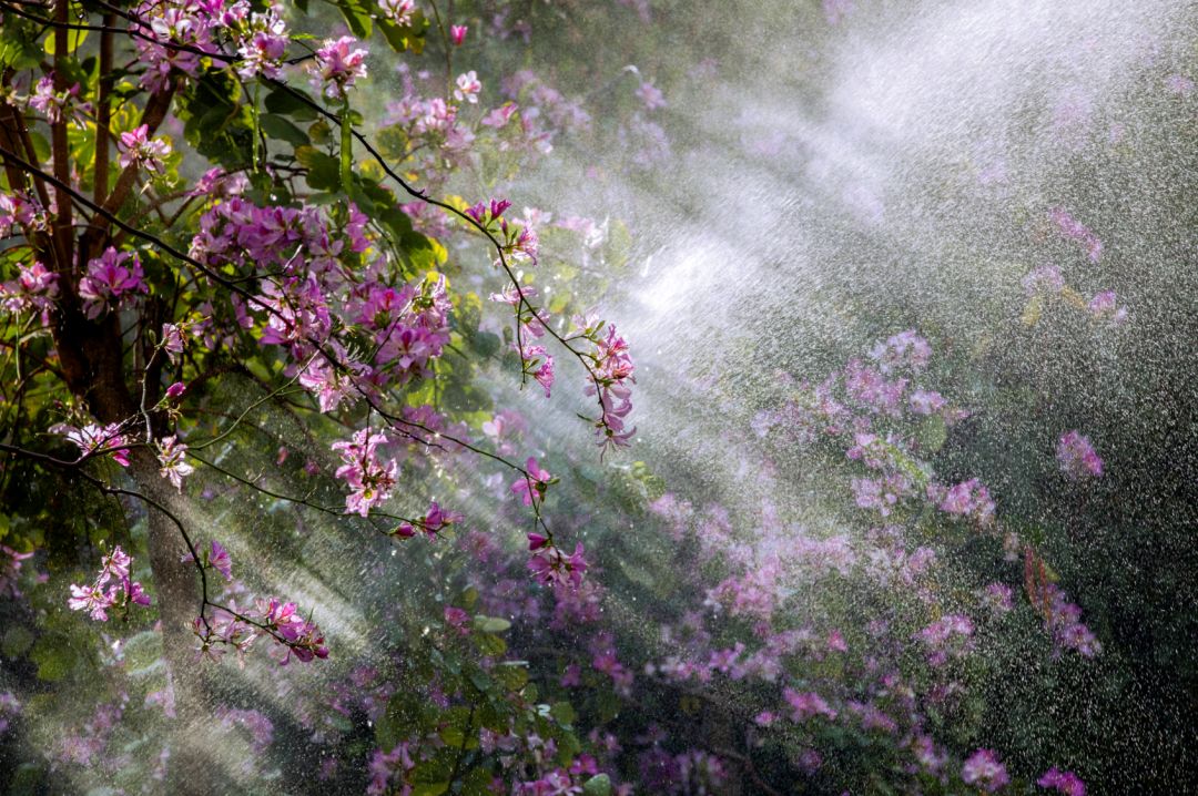 香港第14届全国摄影艺术展,第29届全国摄影艺术展览获奖名单