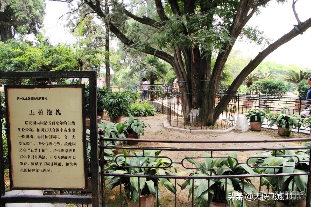 曲阜三孔旅游攻略孔庙孔府孔林,曲阜孔府孔庙孔林风景区