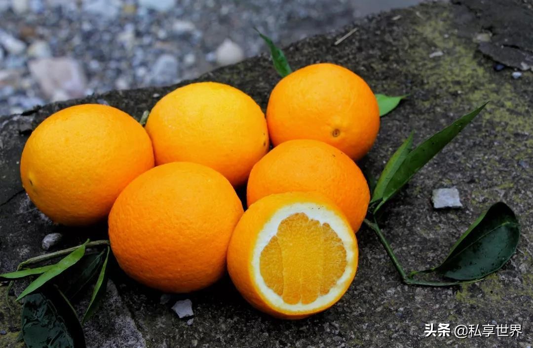 中国哪的橙子最出名,中国哪的橙子好吃产地排名