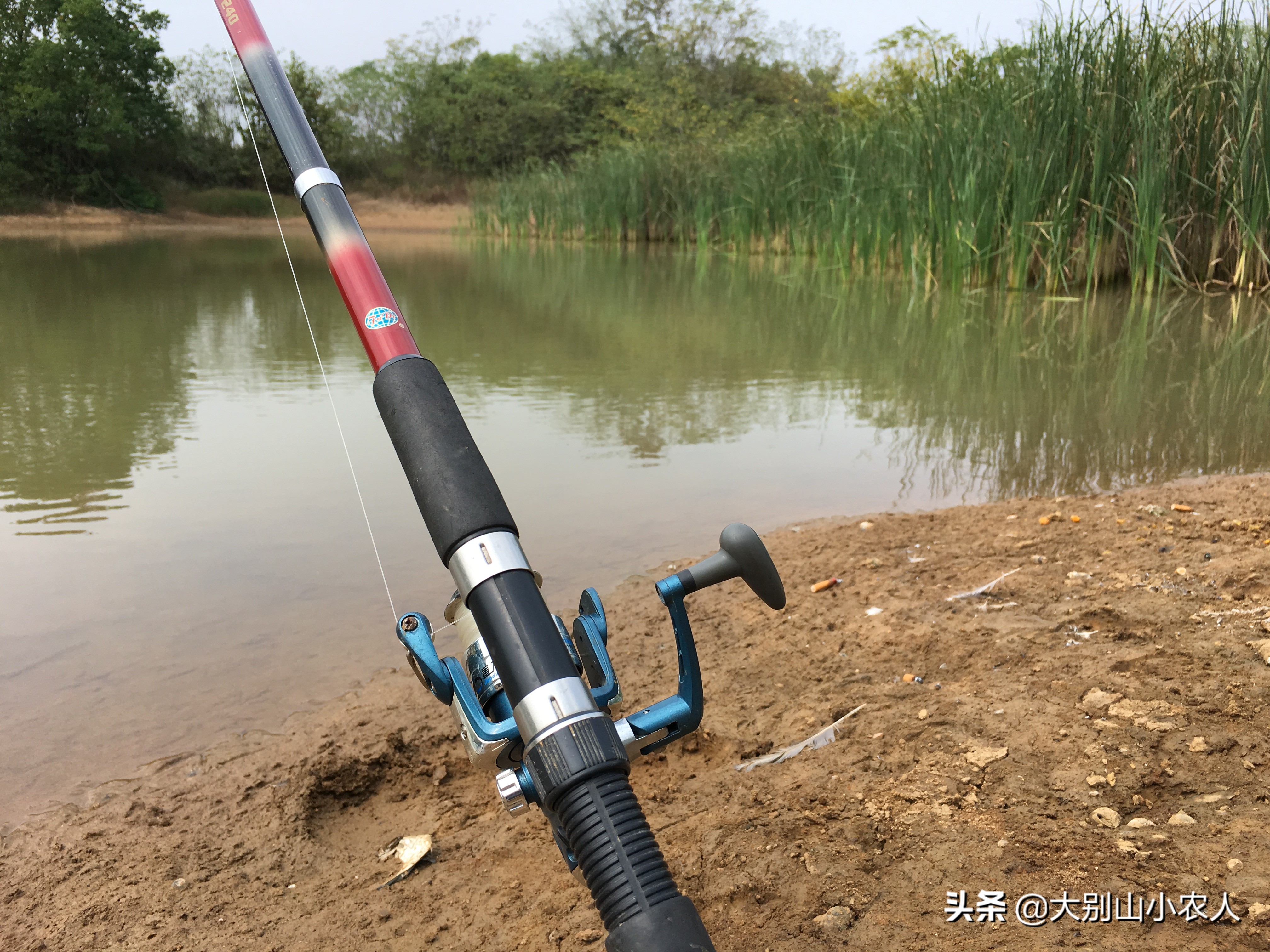 冬季海竿串钩钓鲫鱼绝招,秋冬季节海竿串钩钓大板鲫
