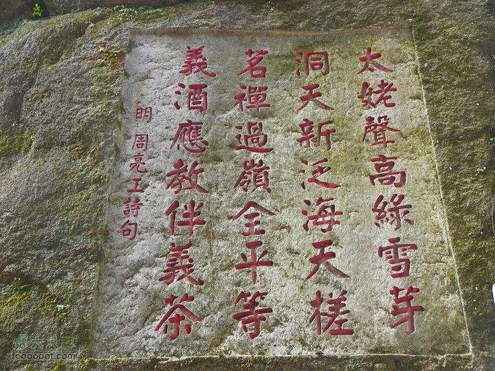 你知道的安吉白茶,有关福鼎白茶的资料