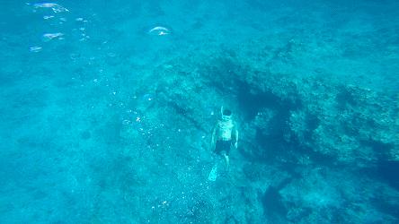 全球惊艳的10个海底世界，看到第一个就想出发！