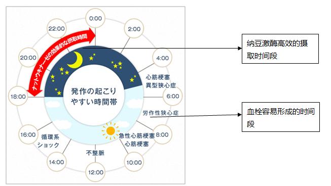 纳豆激酶和即食纳豆哪个好,吃纳豆里面含有纳豆激酶吗
