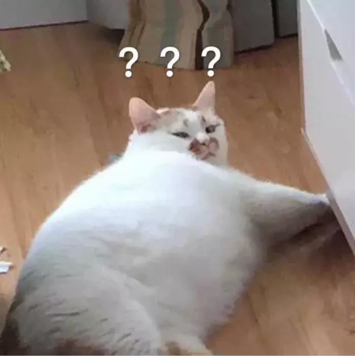 小众但出乎意料的好看的口红,和大牌口红一样的小众口红