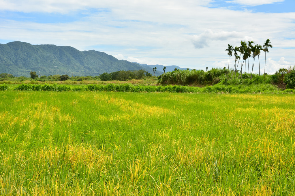 涔″湡涓浗鍙版咕,瀹濆矝鍙版咕鍦扮悊鍥剧墖