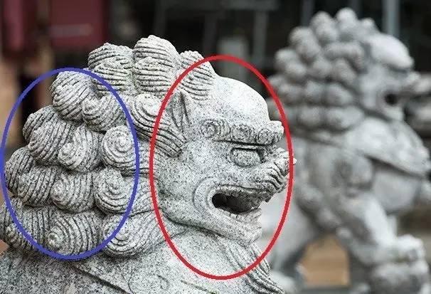 如何调整光圈的大小,如何调好光圈