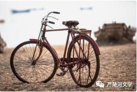 父亲的自行车余宗林,父亲的自行车全集