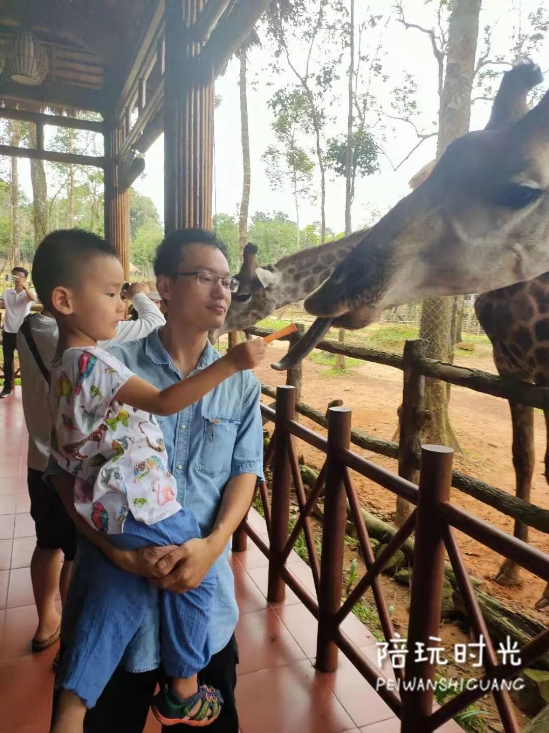 适合带娃旅游的海边酒店,哪个海岛酒店适合带娃