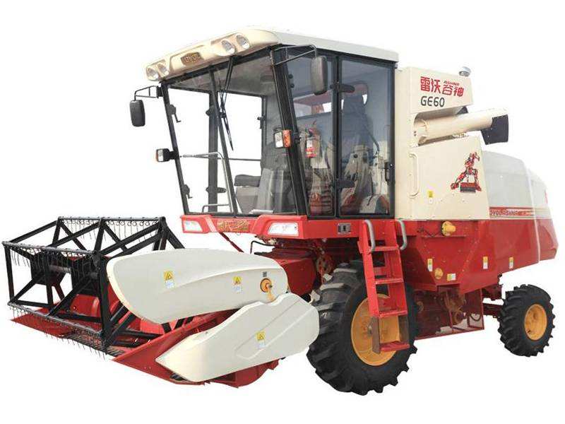 日照,日照绿茶价格表