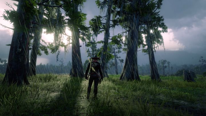 荒野大镖客救赎2新手攻略,荒野大镖客救赎2怎么获取白马