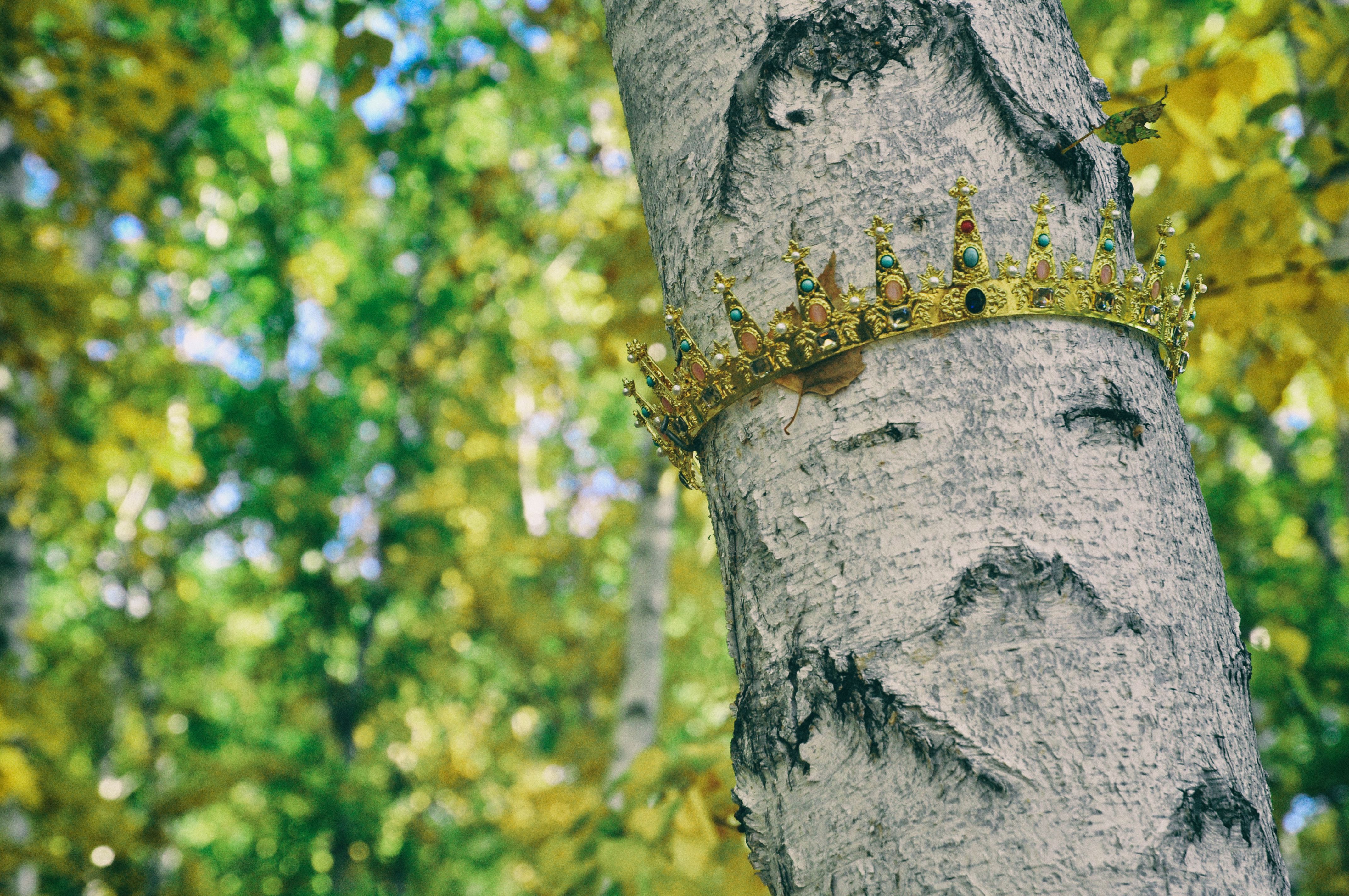 东北边疆,东北行游记2019