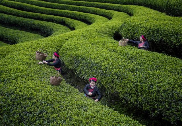 第26届奥地利摄影展,奥地利超级摄影巡回赛28年回顾展